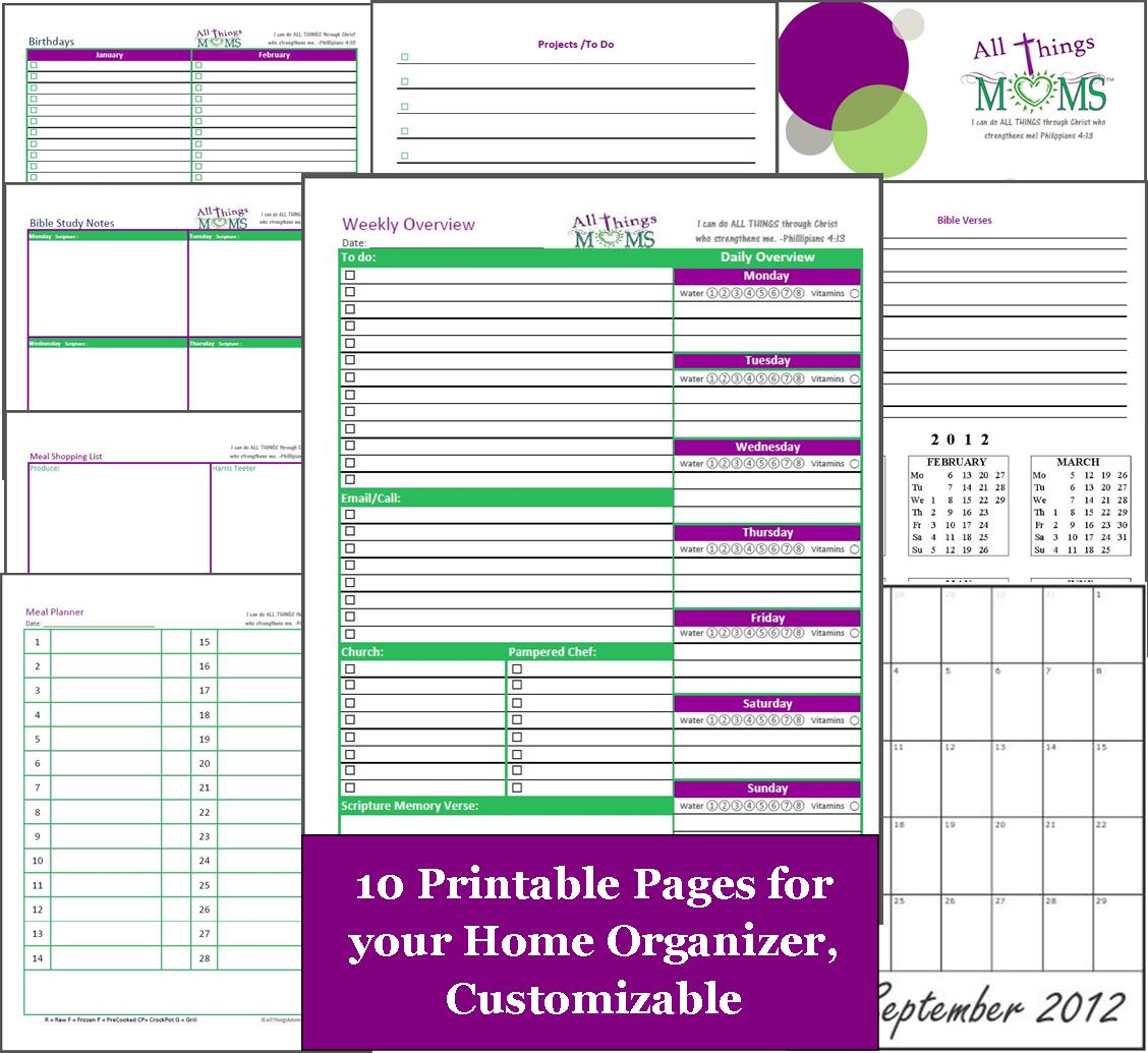 free-downloadable-storage-shed-plans