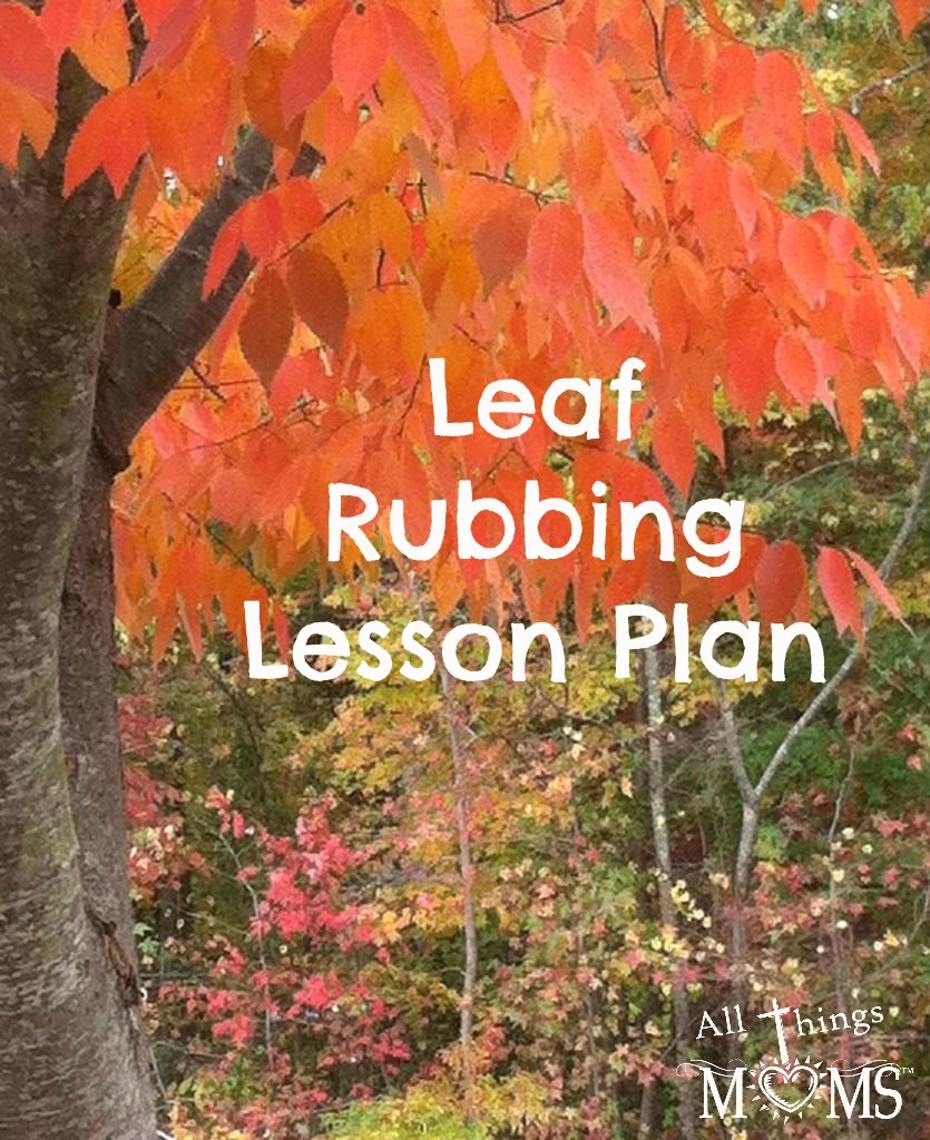LeafRubbingLesson