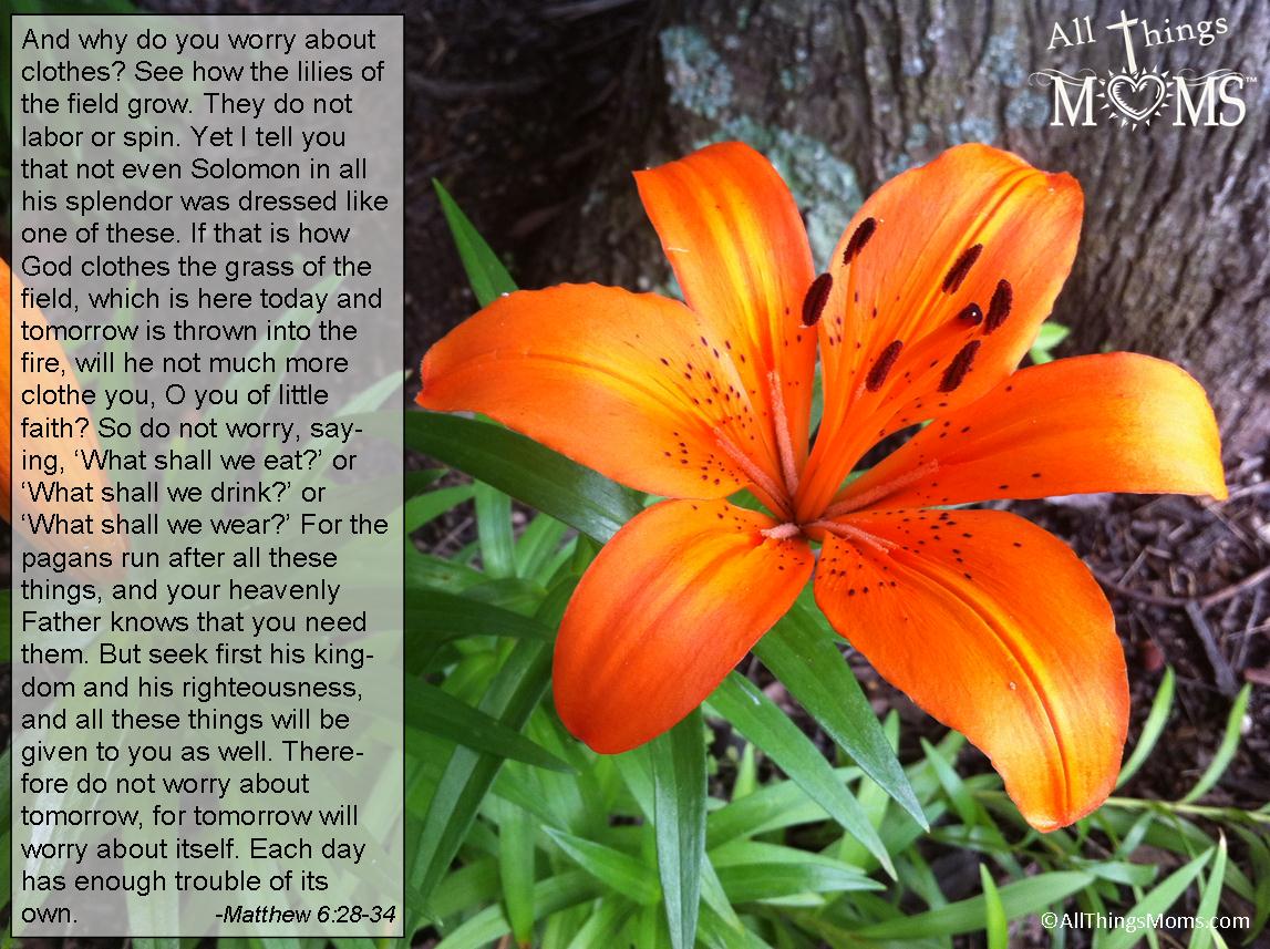 Lilies of field - All Things Moms